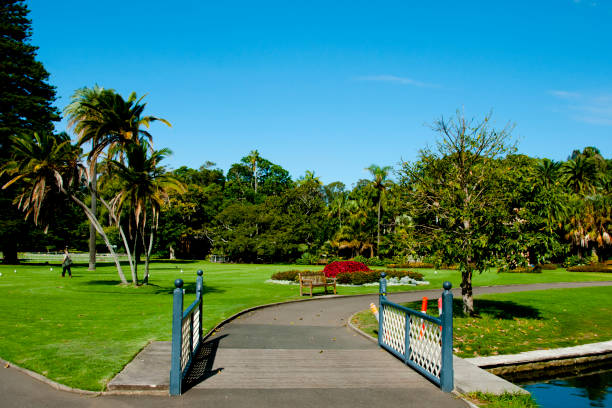 istock Royal Botanical Garden 969345418