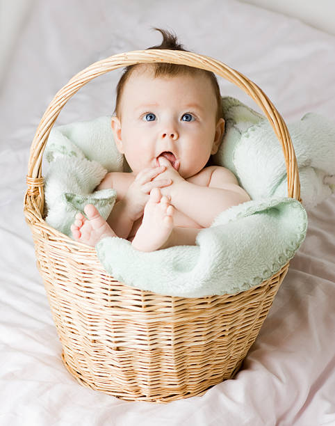 istock Baby in basket 96934551