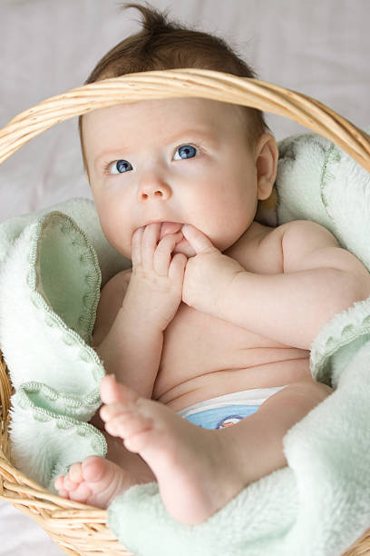istock Baby in basket 96934709