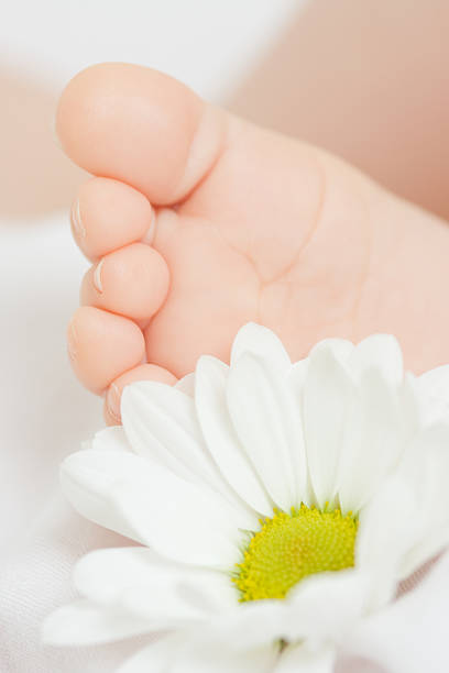 istock Baby foot and daisy 96935007