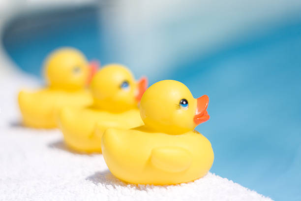 Toy Ducks stock photo