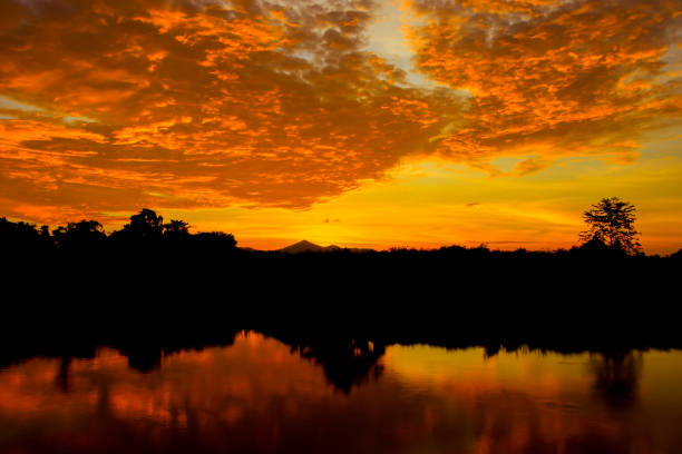 istock sunset beautiful colorful landscape and silhouette tree  reflex water river in sky twilight time with copy space add text 969352740