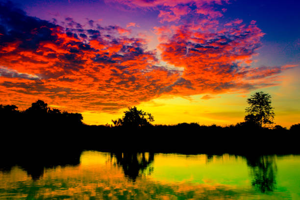 sunset beautiful colorful landscape and silhouette tree  reflex water river in sky twilight time with copy space add text