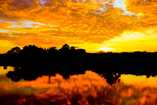 istock sunset beautiful colorful landscape and silhouette tree  reflex water river in sky twilight time with copy space add text 969352750