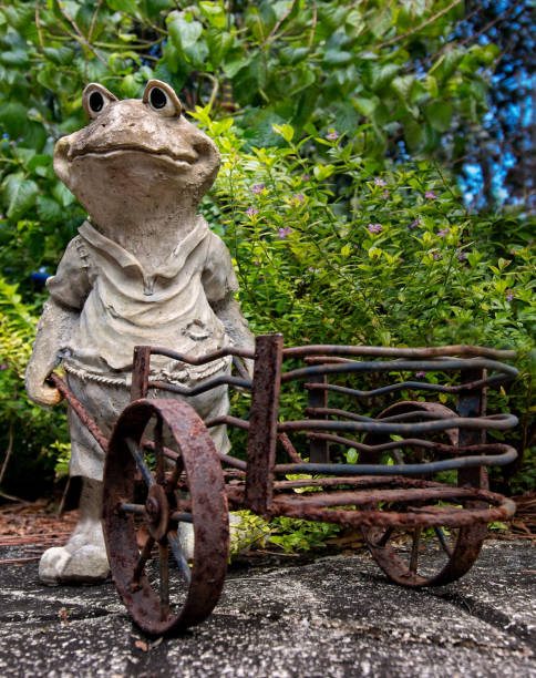 istock Froggy Went A Cartin 969353234