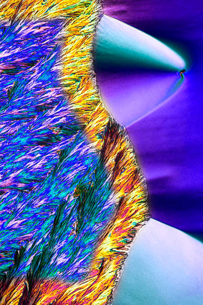 istock Abstract micrograph of ascorbic acid crystals in brilliant arrays. 969379568