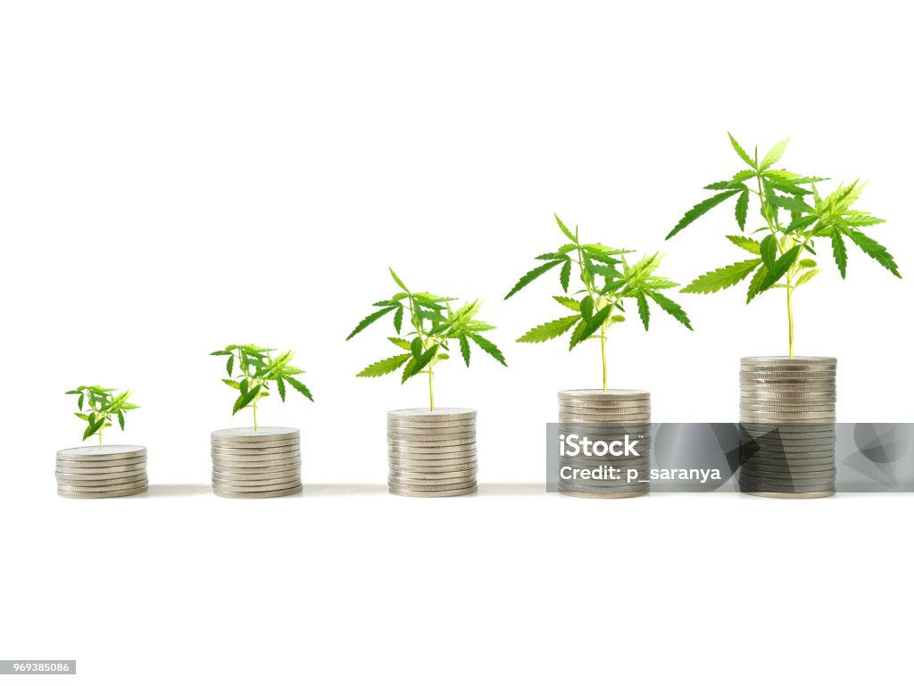 Plantas de marihuana crecen en pilas de monedas - Foto de stock de Planta de cannabis libre de derechos