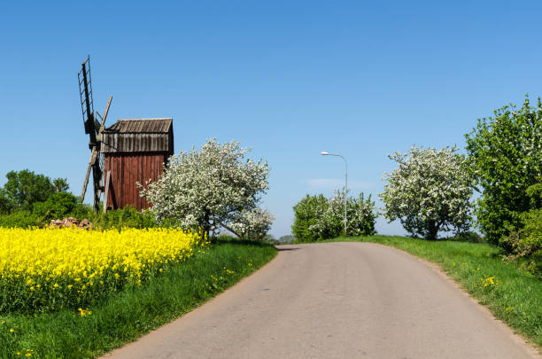 Country road by an old windmill in a colorful spring season landscape stock photo