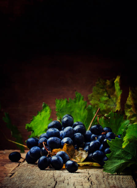 istock Blue wine grapes with vine and green leaves, rustic still life 969402880