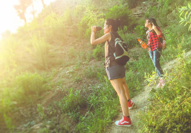 istock Young women using binoculars while hiking in mountain woods. 969403224