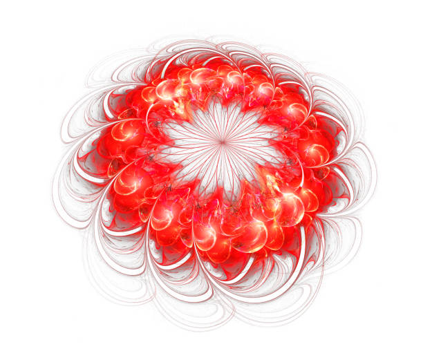 istock red flower isolated on white background 969408224