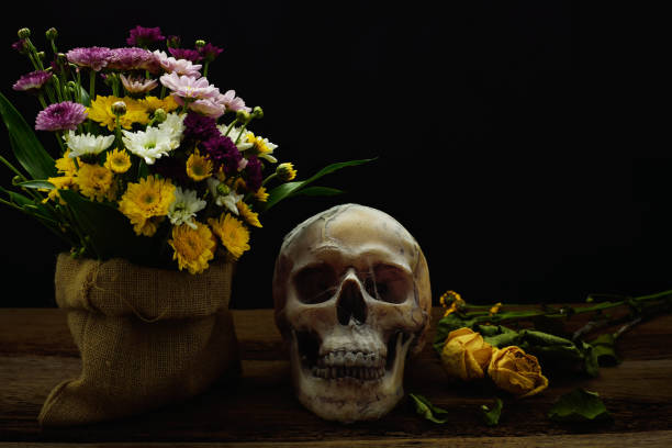 istock Still life with the skull 969410722