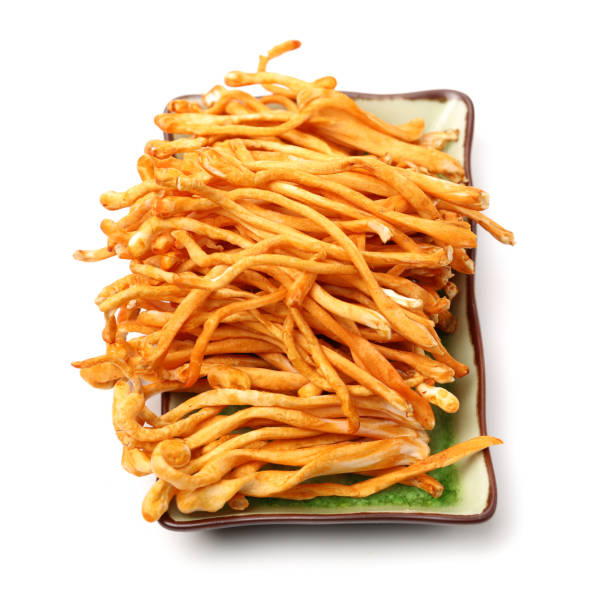 istock Cordyceps mushroom on the white background 969410744