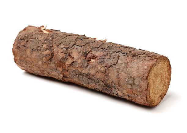 istock Pine Log wood isolated on white background 969410774