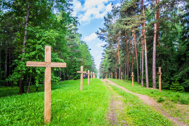istock in the forest in an abandoned cemetery an old rusty cross 969411420