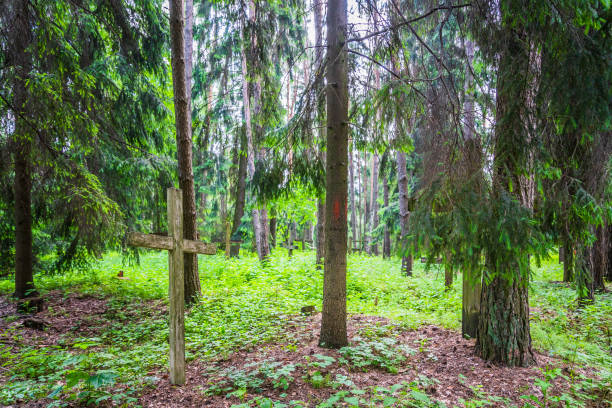 istock in the forest in an abandoned cemetery an old rusty cross 969411840