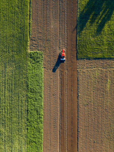 istock Aerial view of the tractor in the field, spring sowing work. 969422112