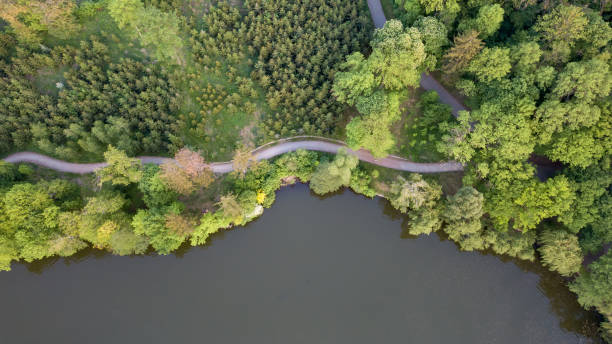 istock Aerial view over sunny lake surrounded by tree forest near town. 969422592