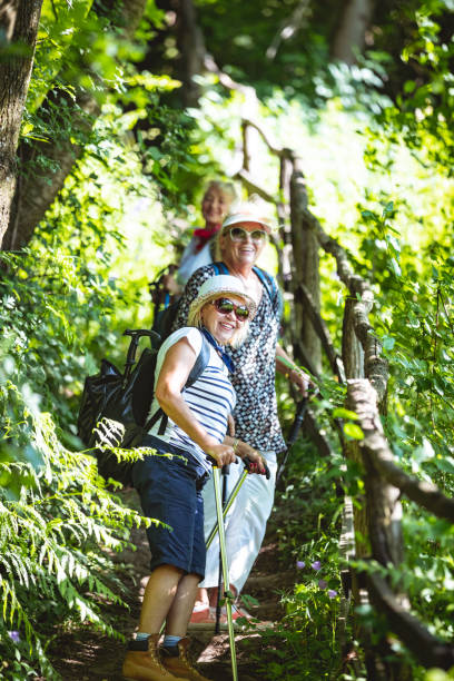 istock Senior women hiking through forest 969431902