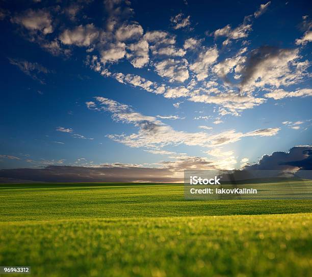 Field Of Grass And Sunset Stock Photo - Download Image Now - Agricultural Field, Agriculture, Beauty In Nature