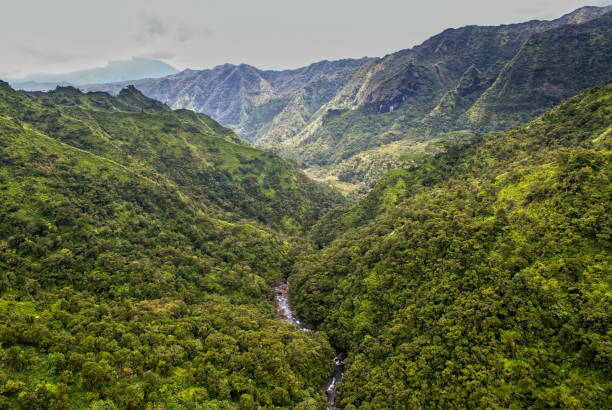 istock Aerial View over Kauai, Hawaii 969435116
