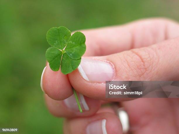 Four Leaf Kleeblatt Stockfoto und mehr Bilder von Kleeblattförmig - Kleeblattförmig, Vierblättriges Kleeblatt, Blatt - Pflanzenbestandteile