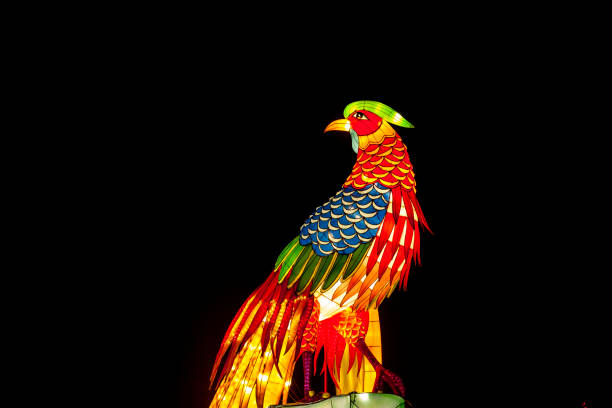 Chinese festive lantern at night