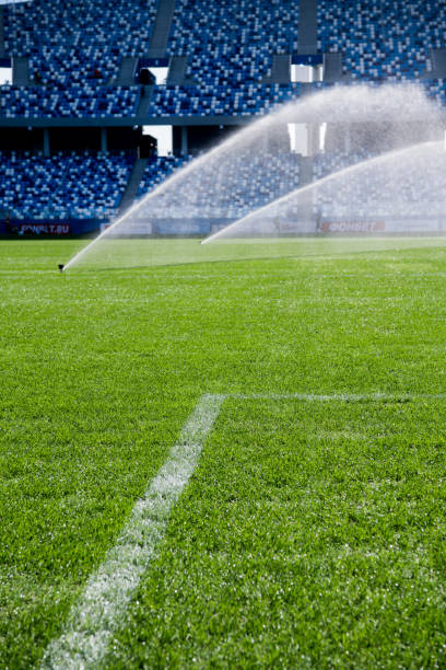 istock White lines on green grass of a soccer field. Selective focus 969445908
