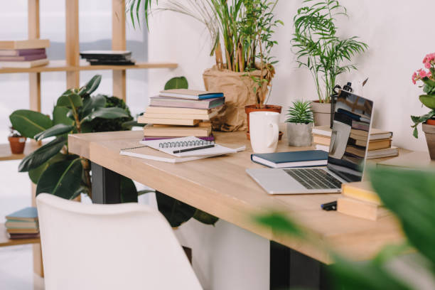istock laptop on wooden table with potted plants in workspace 969446376