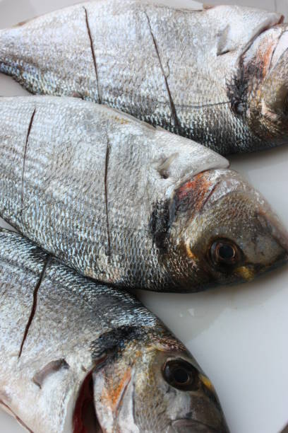 istock Royal sea bream being prepared in the kitchen 969446438
