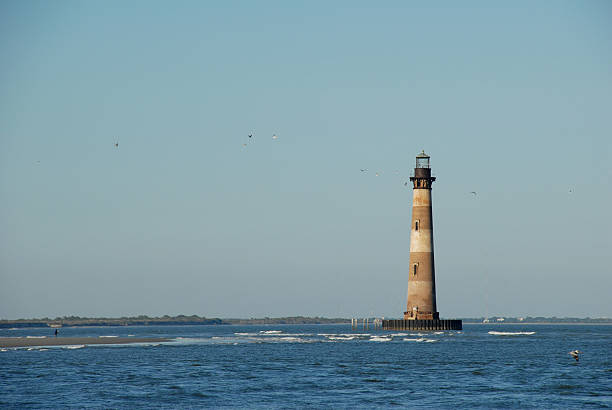 istock Birds swirl around Morris Island Lighthouse 96944654