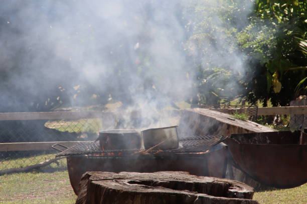 istock Smoking Grill, Seychelles, Indian Ocean, Africa 969448568