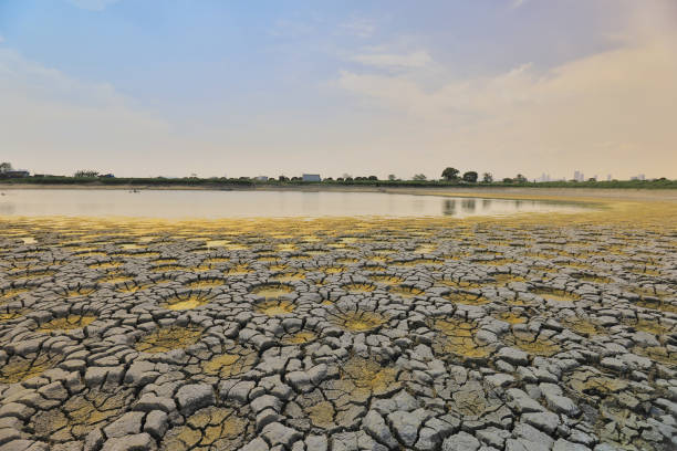 istock desert with wet place on it,  Tai Sang Wai 969452816