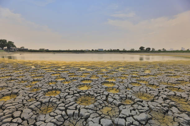 istock desert with wet place on it,  Tai Sang Wai 969452836