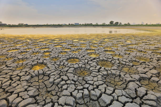 istock desert with wet place on it,  Tai Sang Wai 969452884