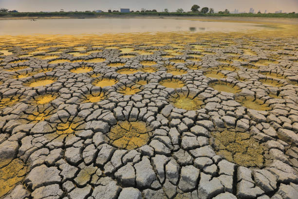 istock desert with wet place on it,  Tai Sang Wai 969452972