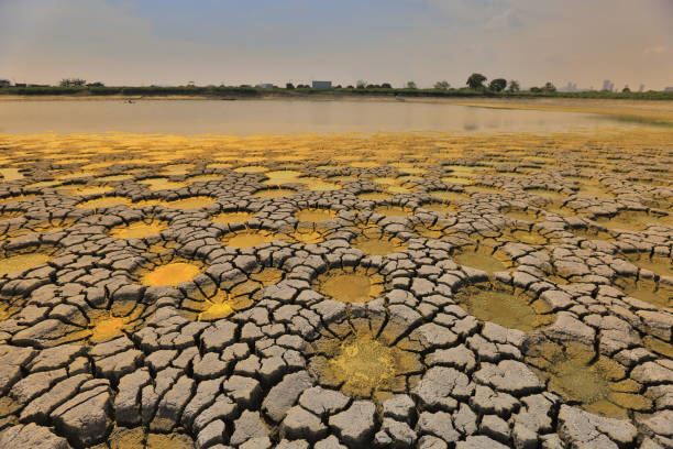 istock desert with wet place on it,  Tai Sang Wai 969453096