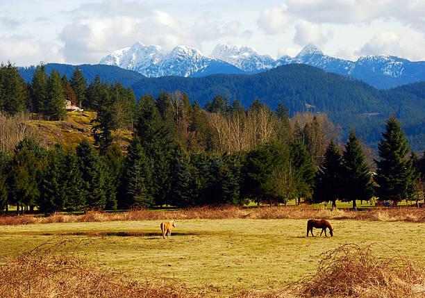 istock Rural Countryside of  Canada 96945557