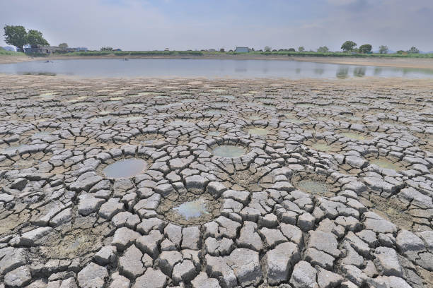 istock desert with wet place on it,  Tai Sang Wai 969456956