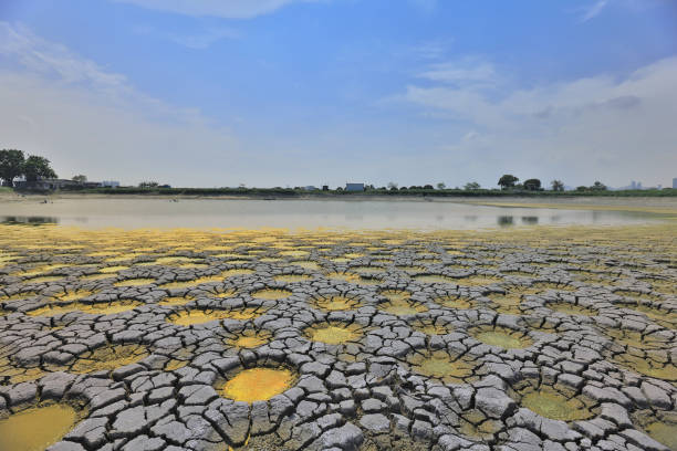 istock desert with wet place on it,  Tai Sang Wai 969456976