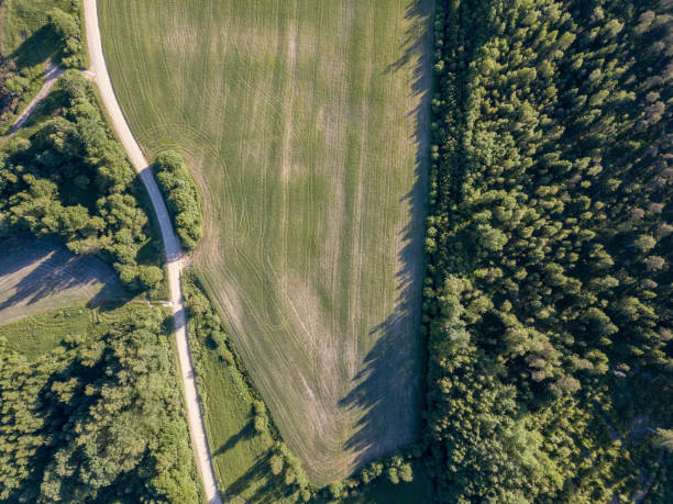 istock drone image. asphalt road surrounded by pine forest and fields from above 969457864