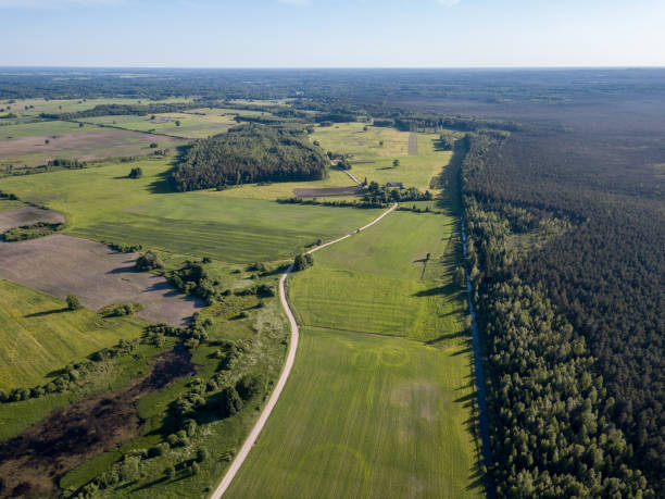 istock drone image. asphalt road surrounded by pine forest and fields from above 969457866