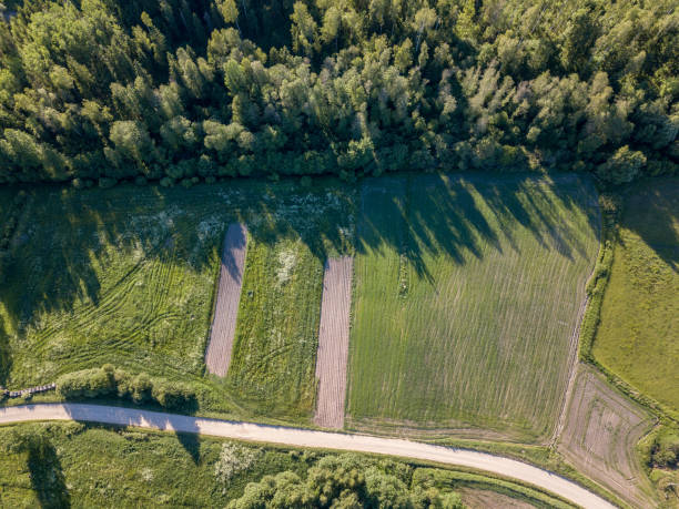 istock drone image. asphalt road surrounded by pine forest and fields from above 969457872