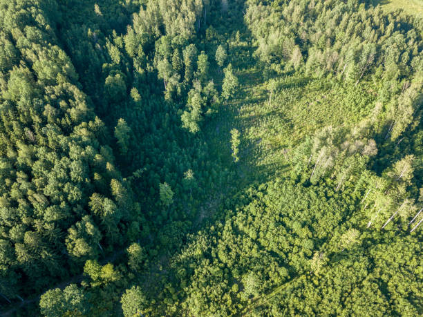 istock drone image. aerial view of rural area with fields and forests 969457912