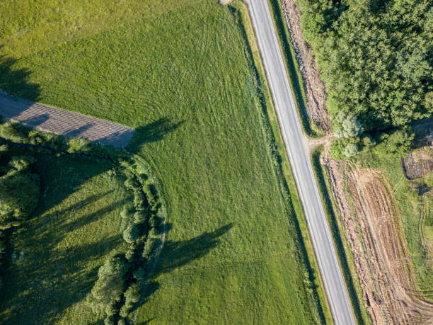istock drone image. asphalt road surrounded by pine forest and fields from above 969458120