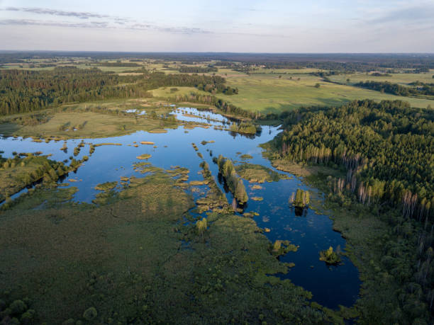 istock drone image. country lake surrounded by pine forest and fields from above 969458158