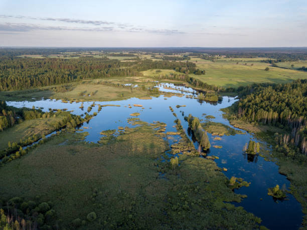 istock drone image. country lake surrounded by pine forest and fields from above 969458180