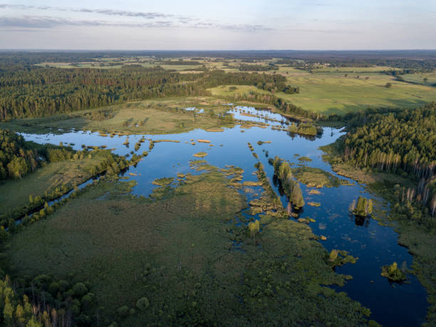 istock drone image. country lake surrounded by pine forest and fields from above 969458186