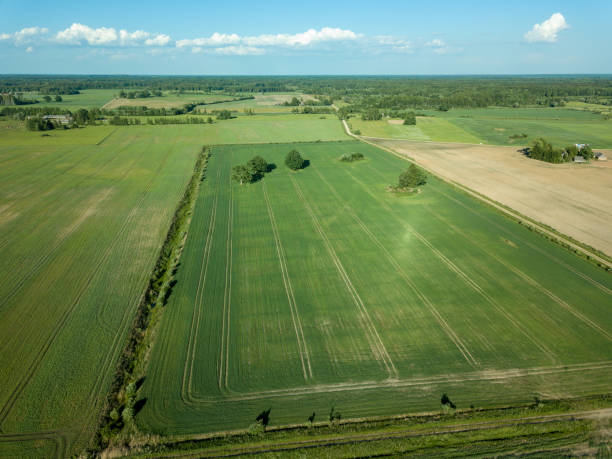 istock drone image. aerial view of empty cultivated fields 969460620