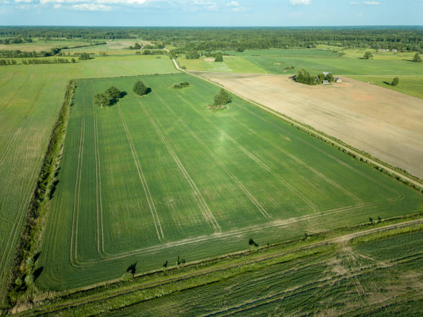 istock drone image. aerial view of empty cultivated fields 969460652